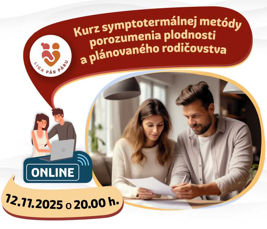 172_1211_online_kurz_STM
