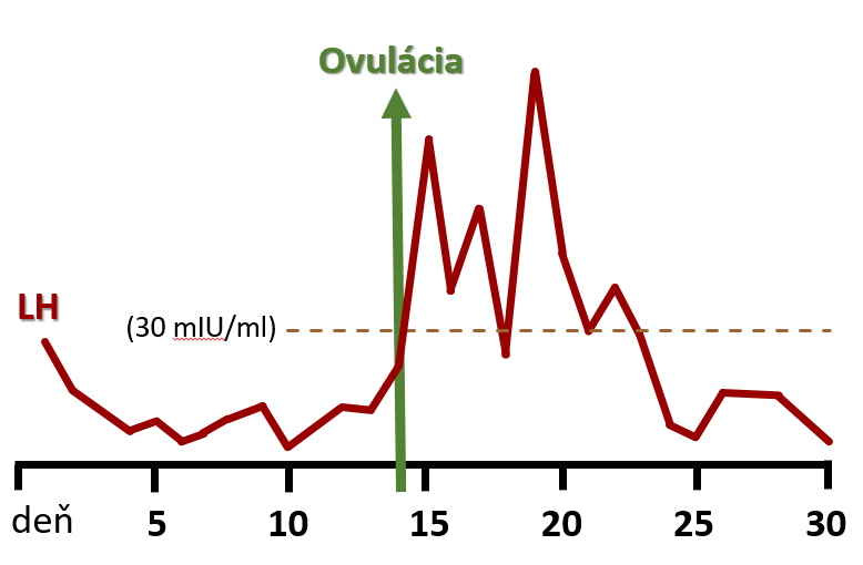 LH obr.č.1