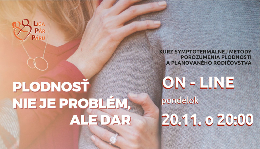 on-line_kurz_š
