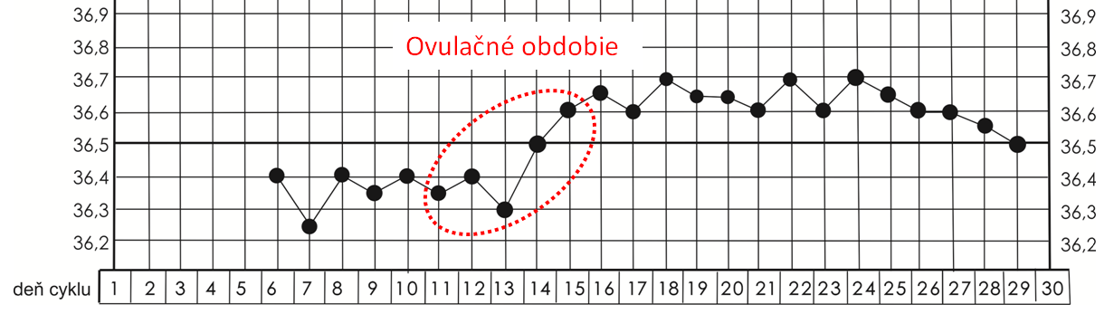 ovulačné obdobie